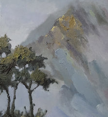 Cloudy morning at Ho'omaluhia