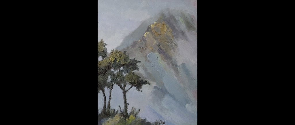 Cloudy morning at Ho'omaluhia